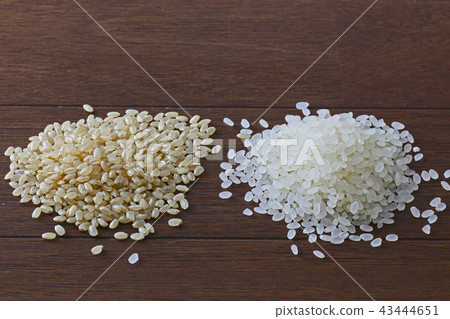精製米飯 43444651