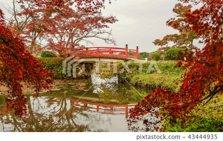 Lake scenery at autumn in Kyoto, Japan 43444935