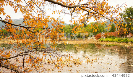 Lake scenery at autumn in Kyoto, Japan 43444952