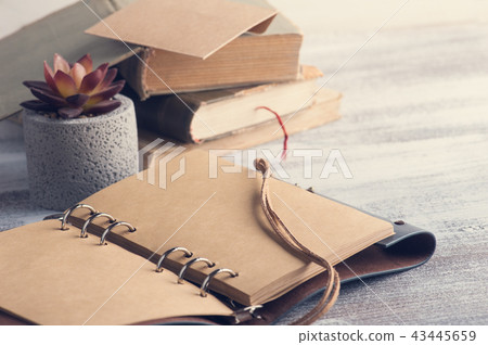 Old books, succulent and open craft notebook 43445659