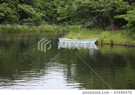 Small boat in the park 43446470