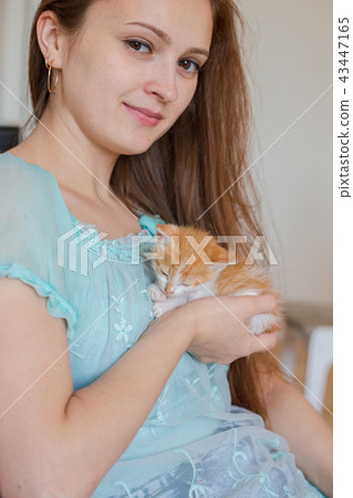 Close up of cute kitty in woman's hands. Close up of cute kitty in woman's hands. 43447165