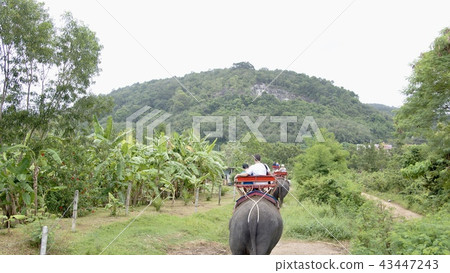 kingdom of thailand, thailand, phuket 43447243