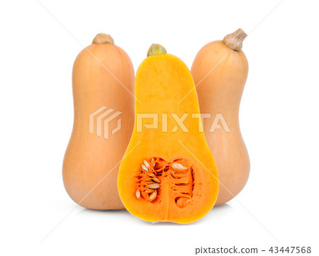 two whole and half butternut squash isolated  43447568