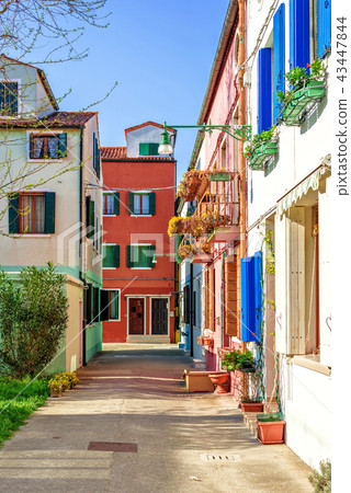 Daylight view to a street of city with vibrant 43447844