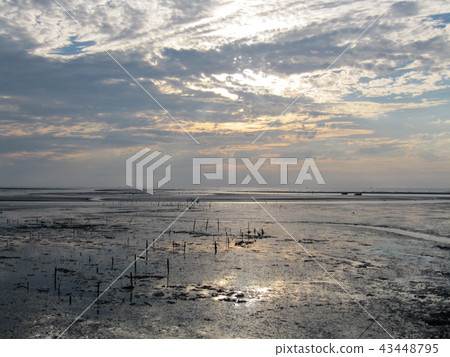 新竹市十七公里海岸線 43448795