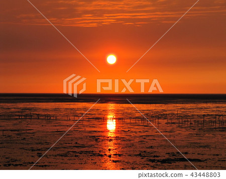 新竹市十七公里海岸線 43448803