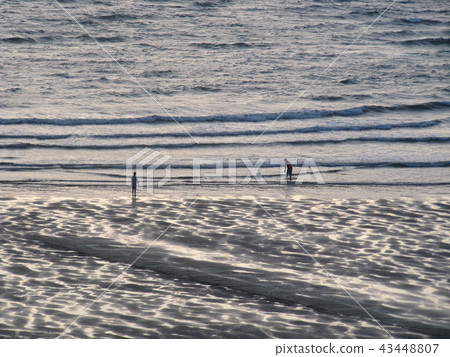 新竹市十七公里海岸線 43448807