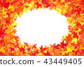 Autumn leaves background material 43449405