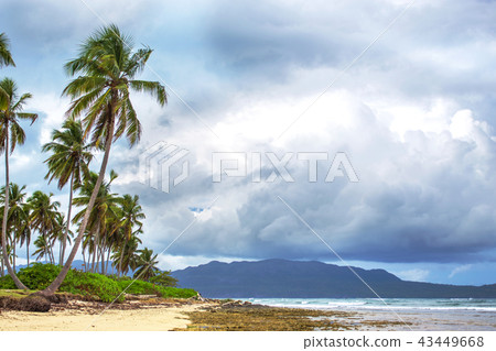 Cloudy weather on the tropical coast Cloudy weather on the tropical coast 43449668