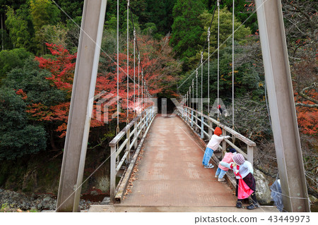 Oita Fall Monkey Tobi Chienkyo Gorge 43449973