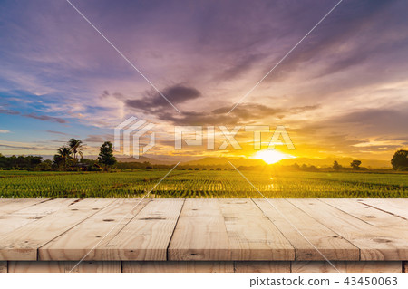 Rice field sunset and Empty wood table Rice field sunset and Empty wood table 43450063
