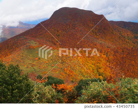 Autumn fall leaves trekking 43450735