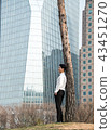 Tree-lined office worker 43451270