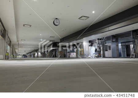 豐洲市場漁業批發大廳嶺納卡批發大廳 43451748