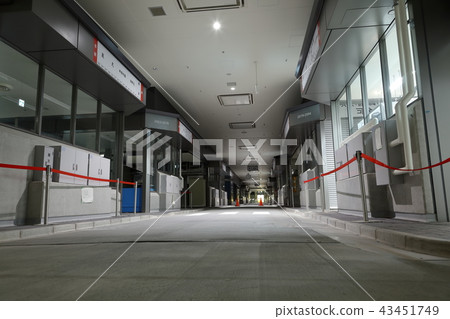 豐洲市場漁業批發大廳嶺納卡批發大廳 43451749