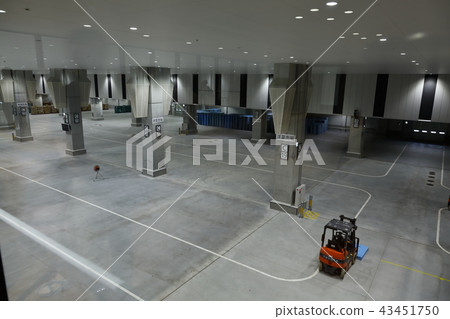 豐洲市場綠化大廳批發區 豐洲市場綠化大廳批發區 43451750