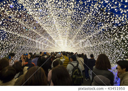 Nabana No Sato Spring Illumination. 43451950