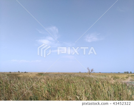 Landscape of the island Dzharylgach Landscape of the island Dzharylgach 43452322