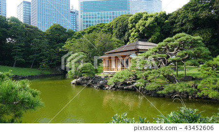 Hamarikyu / Garden Hamarikyu / Garden 43452606