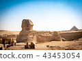 Panoramic view of the full profile Great Sphinx 43453054