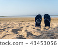 flip flop on yellow sand Summer fun time 43453056