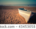 Tropical Seascape with a fishing boat on beach 43453058