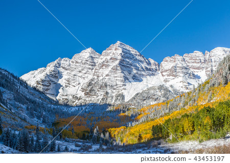 Close up Maroon Bells peaks with yellow aspens 43453197