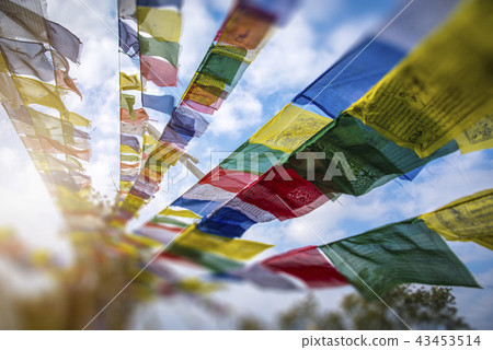 colorful waving prayer flags 43453514