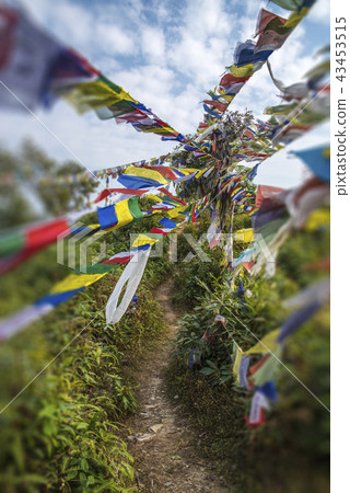 colorful waving prayer flags colorful waving prayer flags 43453515