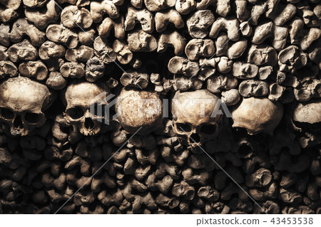 catacombs of Paris catacombs of Paris 43453538