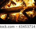 Bonfire burning in the dark, flame close up 43453714