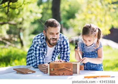 Father with a small daughter outside, making wooden birdhouse. Father with a small daughter outside, making wooden birdhouse. 43453888