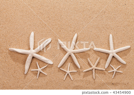 beach summer vacation background with starfish 43454900