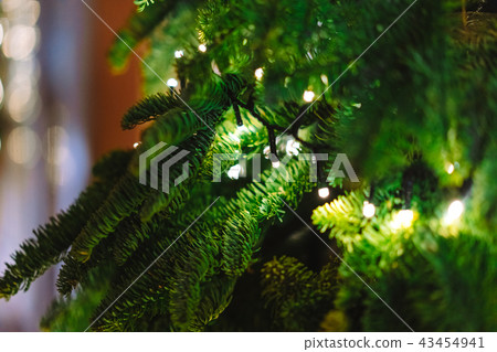 Garland with branches of fir tree and cones Garland with branches of fir tree and cones 43454941