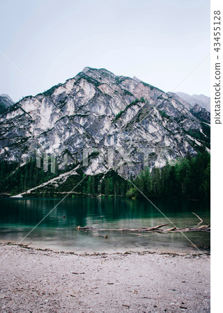 Beautiful view of Lago di Braies or Pragser wildsee, Italy. Beautiful view of Lago di Braies or Pragser wildsee, Italy. 43455128