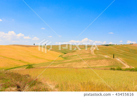 Tuscany hills landscape, Italy Tuscany hills landscape, Italy 43455616