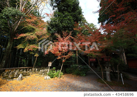 From Akayama Zen-in 43458696