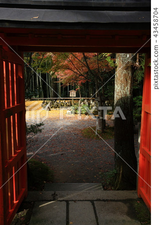 來自Akayama Zen-in 來自Akayama Zen-in 43458704