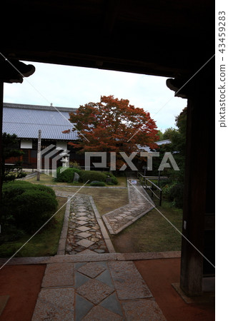 From the source light source 43459283