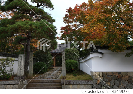 來自光源 43459284