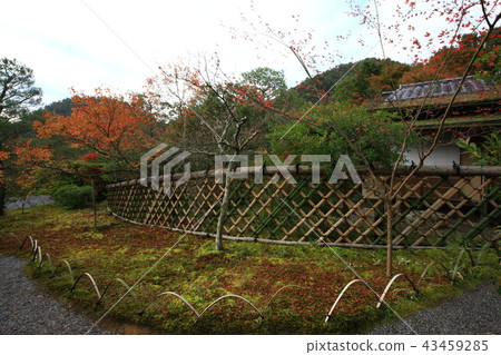 From Koetsu-ji 43459285