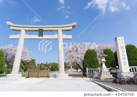 [千葉縣] Tsurutani八幡宮 43459789