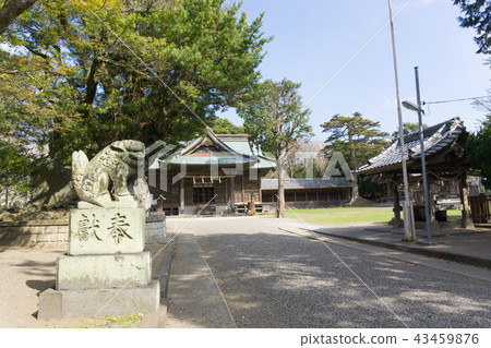 [千葉縣] Tsurutani八幡宮 43459876