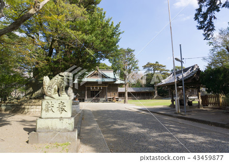 [千葉縣] Tsurutani八幡宮 43459877
