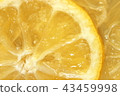 Honey lemon pick up 43459998