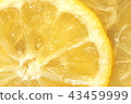 Honey lemon pick up 43459999