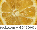Honey lemon pick up 43460001