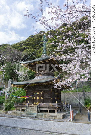 [Chiba Prefecture] Nakoji Temple 43460145