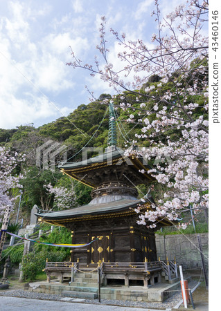 [Chiba Prefecture] Nakoji Temple 43460146